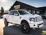 2013 F-150 Thumbnail 1