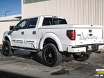 2013 F-150 Thumbnail 5