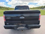 2013 F-150 Thumbnail 9