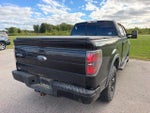 2013 F-150 Thumbnail 10