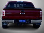 2014 F-150 Thumbnail 6