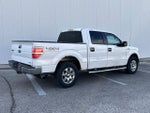 2011 F-150 Thumbnail 5