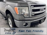 2014 F-150 Thumbnail 8