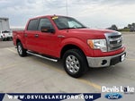 2014 F-150 Thumbnail 1