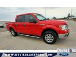 2014 F-150 Thumbnail 2