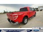 2014 F-150 Thumbnail 10