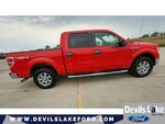 2014 F-150 Thumbnail 11