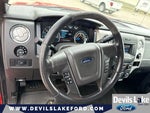 2014 F-150 Thumbnail 19