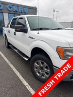 2014 F-150 Thumbnail 2