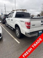 2014 F-150 Thumbnail 4