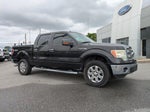 2014 F-150 Thumbnail 2