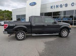 2014 F-150 Thumbnail 3