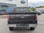 2014 F-150 Thumbnail 5