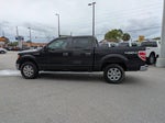 2014 F-150 Thumbnail 7