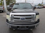 2014 F-150 Thumbnail 9