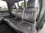2014 F-150 Thumbnail 13