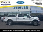 2013 F-150 Thumbnail 1