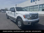 2013 F-150 Thumbnail 5