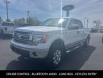 2013 F-150 Thumbnail 7