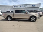 2013 F-150 Thumbnail 1