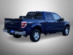 2012 F-150 Thumbnail 5