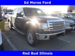 2013 F-150 Thumbnail 1