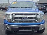 2014 F-150 Thumbnail 16