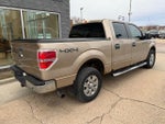 2011 F-150 Thumbnail 7