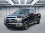 2013 F-150 Thumbnail 1