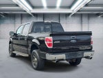 2013 F-150 Thumbnail 6