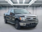 2013 F-150 Thumbnail 1