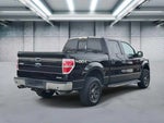 2013 F-150 Thumbnail 4