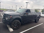 2014 F-150 Thumbnail 1