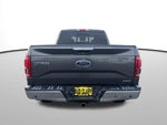 2015 F-150 Thumbnail 5