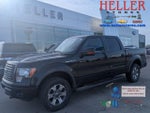 2011 F-150 Thumbnail 1