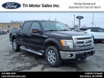 2013 F-150 Thumbnail 1
