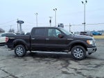 2013 F-150 Thumbnail 2
