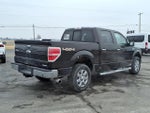 2013 F-150 Thumbnail 3