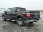 2013 F-150 Thumbnail 4