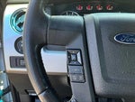 2014 F-150 Thumbnail 24