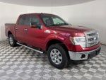 2014 F-150 Thumbnail 1