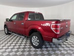 2014 F-150 Thumbnail 5