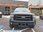 2014 F-150 Thumbnail 7