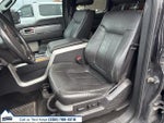 2014 F-150 Thumbnail 10