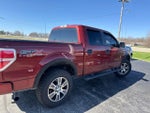 2014 F-150 Thumbnail 6