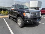 2011 F-150 Thumbnail 7