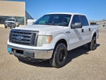 2012 F-150 Thumbnail 1
