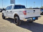 2012 F-150 Thumbnail 2