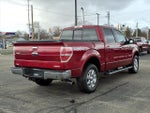 2013 F-150 Thumbnail 4