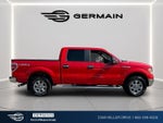 2013 F-150 Thumbnail 8